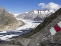 Bettmerhorn Aletsch Arena 2013