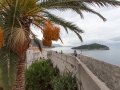 Dubrovnik 2014