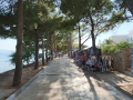 Insel Brac 2014