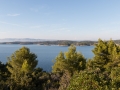 Insel Korcula 2014