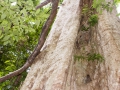 Mu Koh Lanta National Park