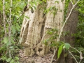 Mu Koh Lanta National Park