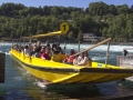 Rheinfall Schaffhausen 2013