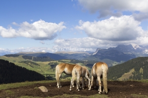 Seiser Alm 2012