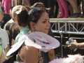 Street Parade 2013