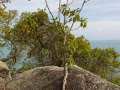 The Imperial Samui Beach Resort