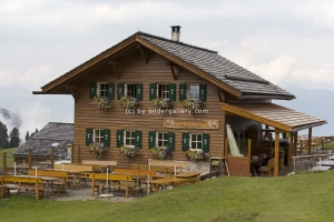 Zanser Alm 2012